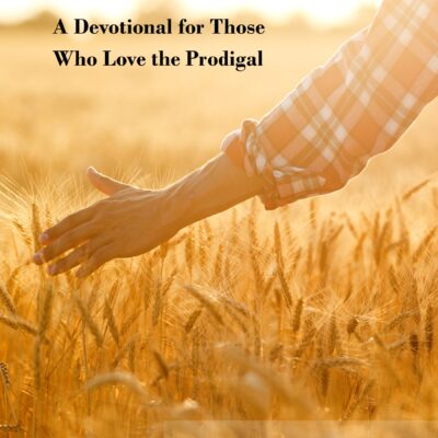 While We Wait: A Devotional for Those Who Love The Prodigal