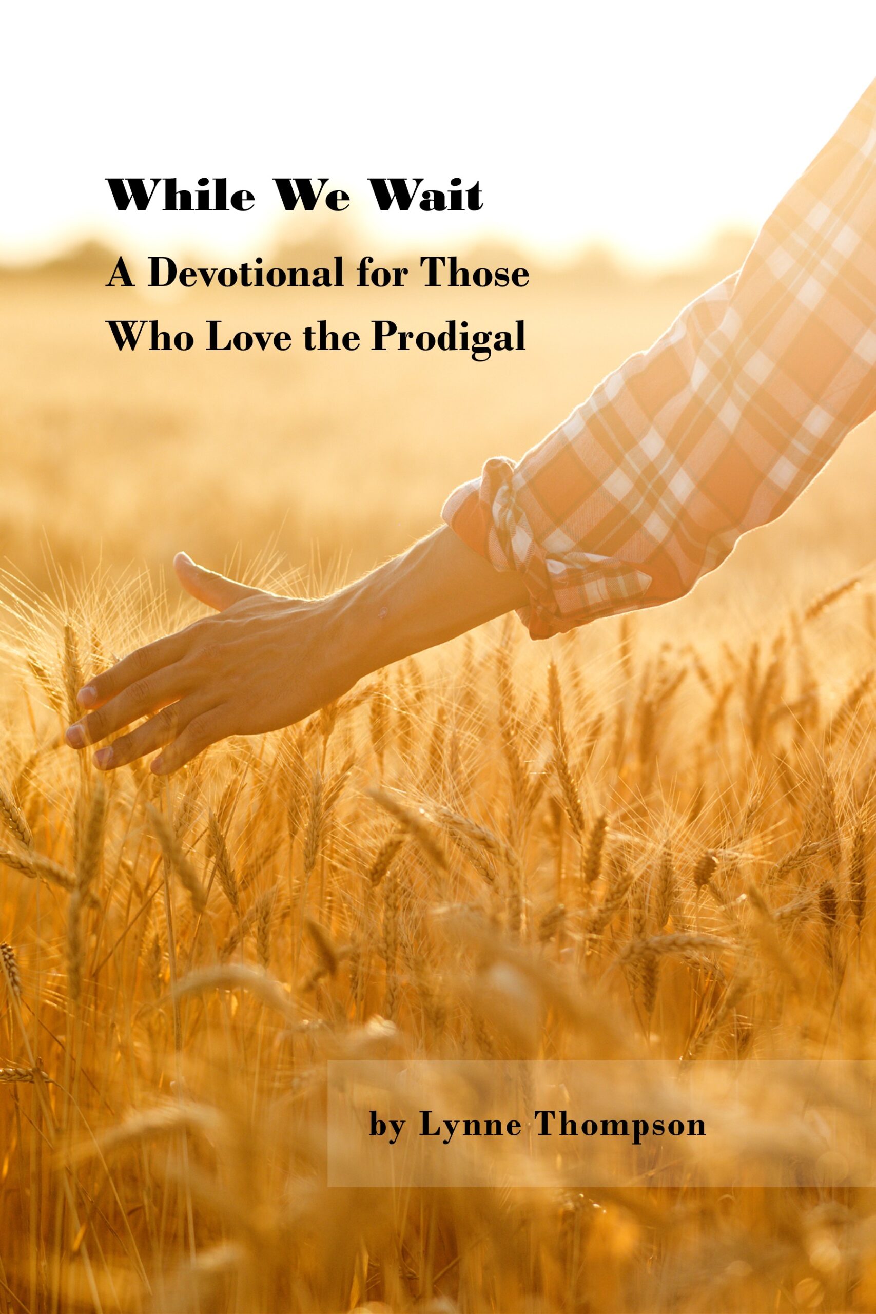 While We Wait: A Devotional for Those Who Love The Prodigal